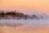 Misty Dawn_11856